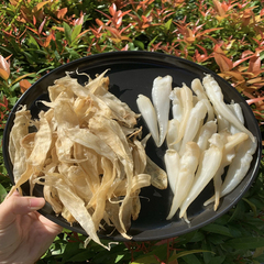 豆仁鱼胶野生花胶深海鱼鳔炖花胶汤孕妇滋补品放越久越好极速发货