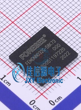 FEMDNN032G-58K73  FORESEE(江波龙)  BGA153Ball