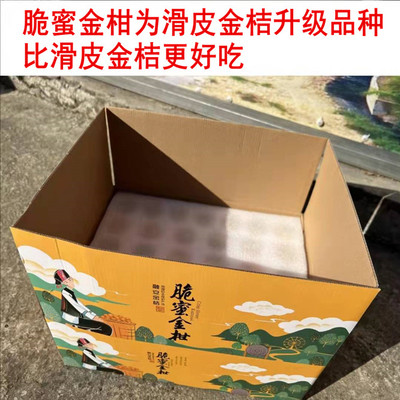 脆蜜金柑广西融安金桔甜蜜多汁