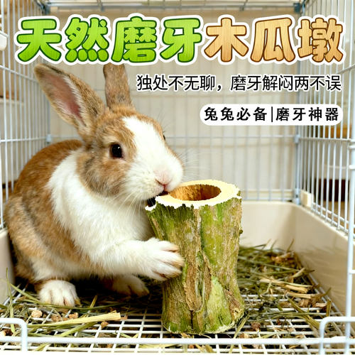 磨牙木瓜墩兔子龙猫荷兰猪磨牙棒零食烘干木瓜树墩树茎木瓜丝玩具