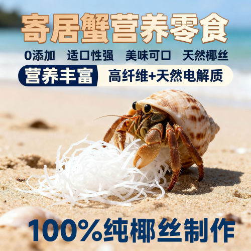 寄居蟹无糖椰丝椰蓉椰片小零食