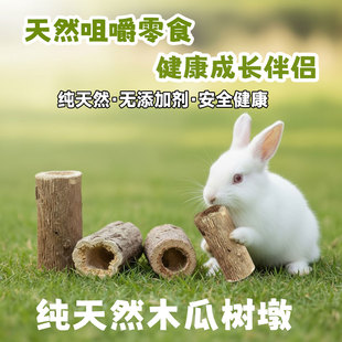 磨牙木瓜墩兔子龙猫荷兰猪零食烘干木瓜树墩磨牙棒鹦鹉鸟磨嘴玩具