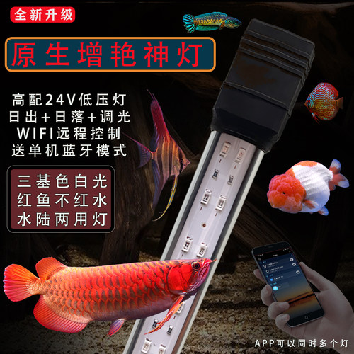 红龙发色神灯埃及七彩神仙鱼缸灯