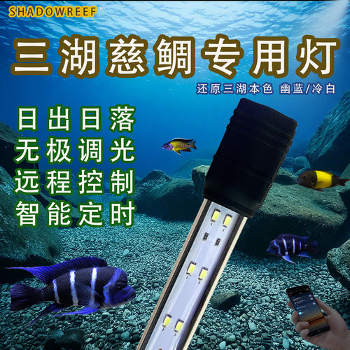 幽影三湖慈鲷专用灯萨伊鱼缸灯