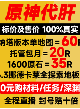 原神代肝代打代练带肝干全地图满探索度纳塔刷元神瞳深渊幽境危战