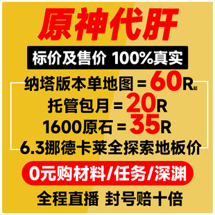 原神代肝代打代练带肝干全地图满探索度纳塔刷元神瞳深渊幽境危战