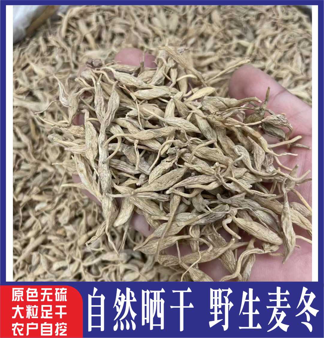 正宗野生麦冬干货泡茶煲汤香味浓