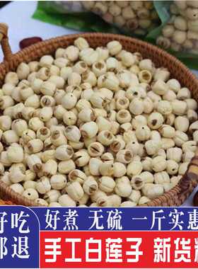 2023新货福建建宁莲子去心无芯农家手工白莲子干货大粒500g煲汤
