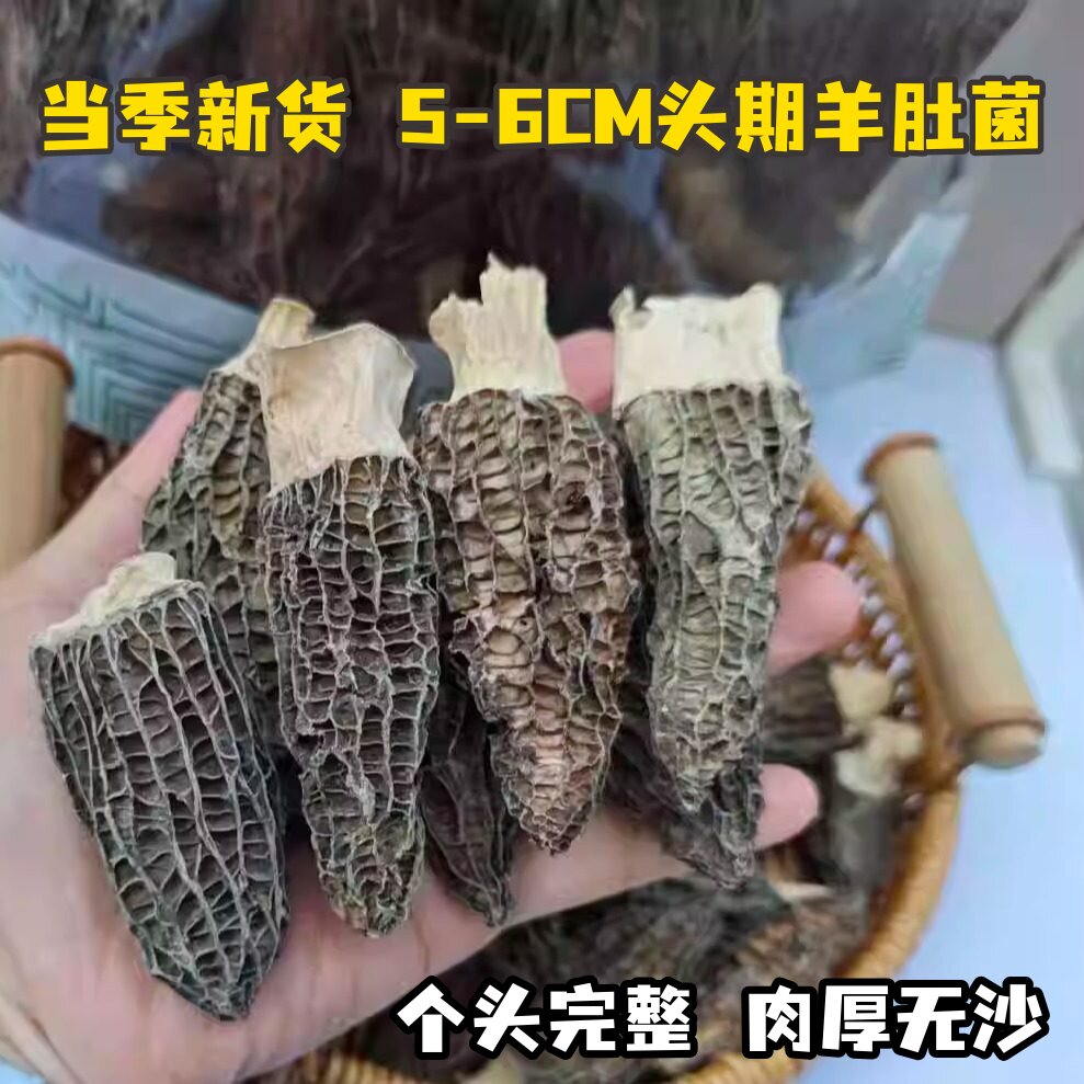 羊肚菌野味香肉厚选货菇菌自然农家新鲜晒干货炖汤菌类蘑菇汤食材