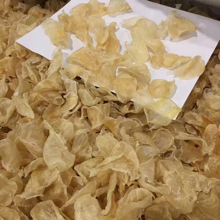 鱼胶小米胶海产干货鸡蛋胶正品花胶鱼鳔鱼肚鱼泡滋补胶原蛋白250g