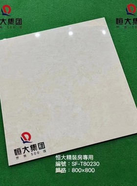 恒大同款萨米特80230精装房地砖800*800客厅瓷砖专用瓷砖厨卫墙砖