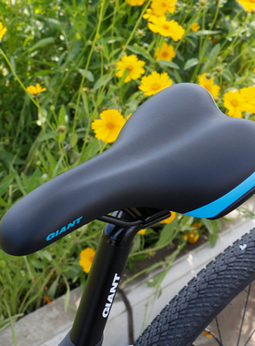 正品捷安特ATX610/660/720/770/777山地自行车坐垫/鞍座单车座子