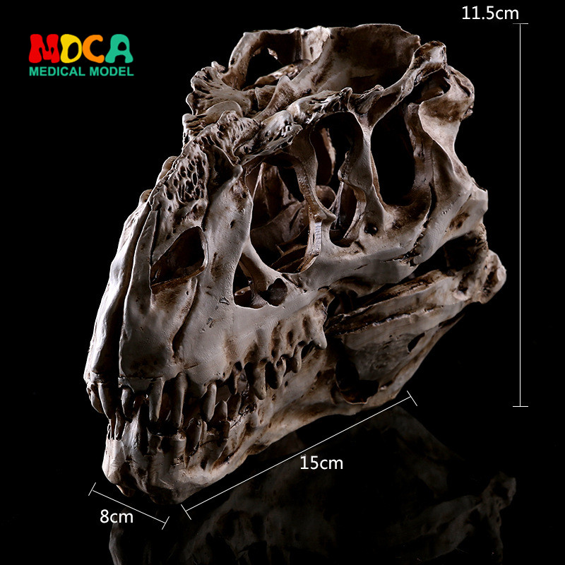 티라노사우루스 렉스 공룡 두개골 두개골 표본 맞춤 장식 실내 장식 물고기 탱크 장식 컬렉션