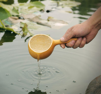 葫芦水瓢原生态合卺绿色天然天然