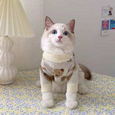 秋冬装猫咪衣服冬季保暖卫衣可爱英短美短银渐层布偶猫幼小猫毛衣
