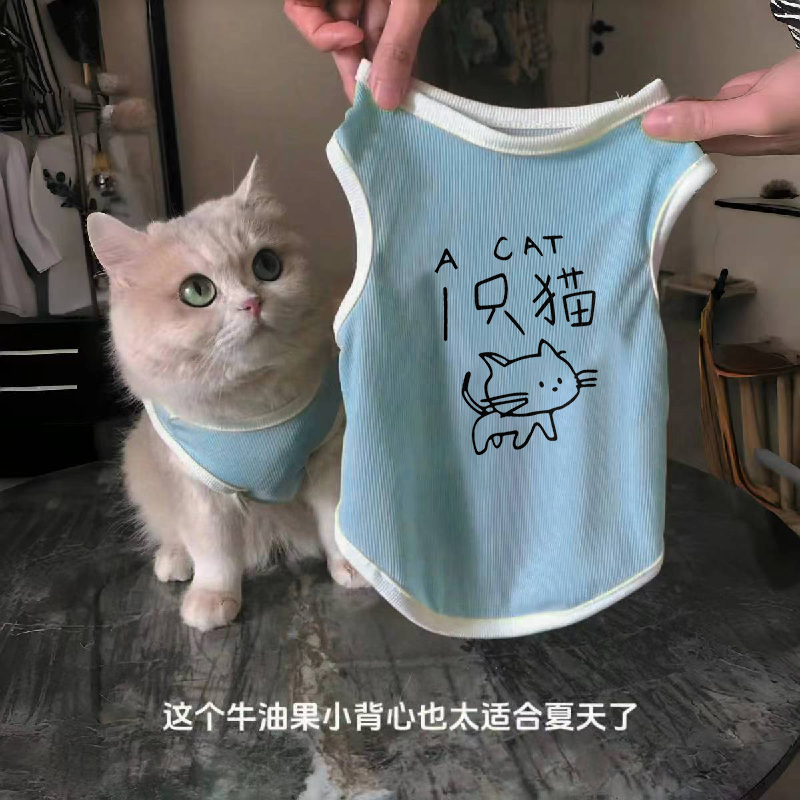 可爱猫咪防掉毛薄款背心小猫衣服