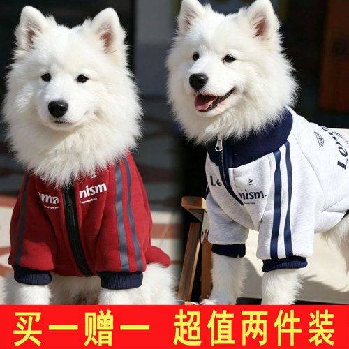 宠物时尚无帽卫衣衣服狗狗秋冬装