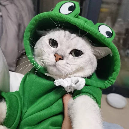 猫咪衣服秋冬蓝猫银渐层布偶幼猫狗狗宠物青蛙款可爱搞笑猫衣服潮