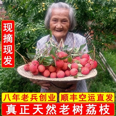 老兵荔枝 新鲜高州老树白糖罂现摘现发水果顺丰4.5斤糯米笑糍妃子