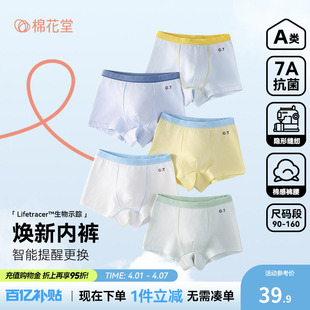 中大童宝宝小孩打底短裤 衩a类抗菌 男透气平角款 棉花堂儿童内裤