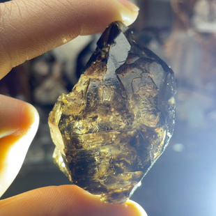 浮生双尖茶骸骨闪灵