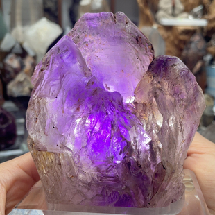 糖心紫涅槃骸骨屏风