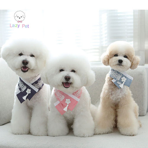 韩国代购刺绣水仙花流苏宠物围巾