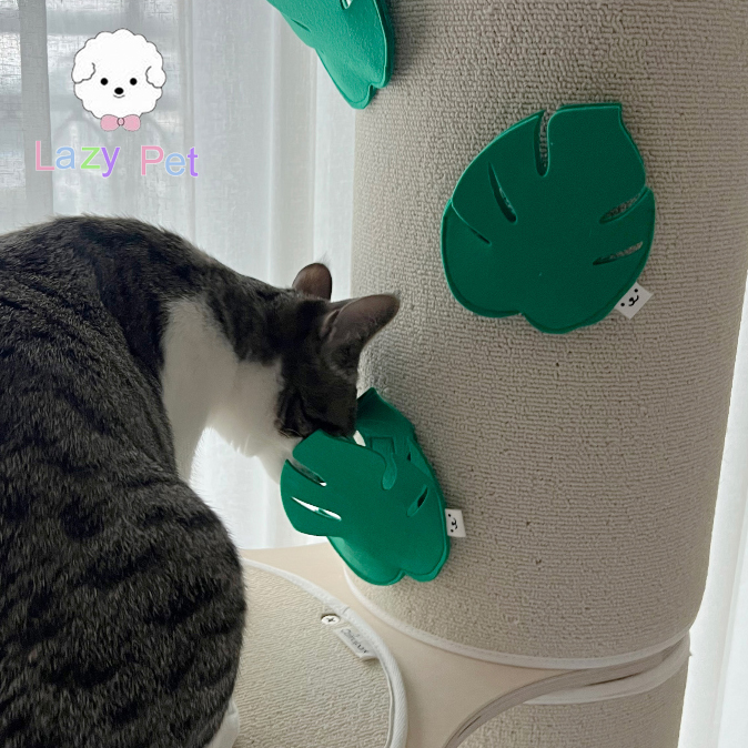 韩代可爱魔术贴树叶猫咪藏食玩具