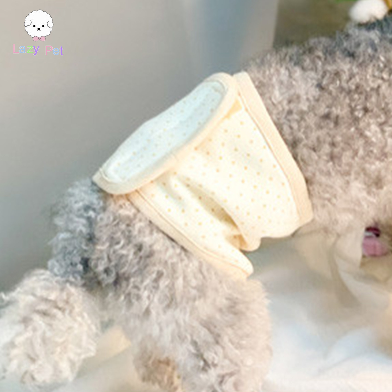 「LazyPet」韩国代购宠物公狗有机棉波点魔术贴防乱尿腰带礼貌带