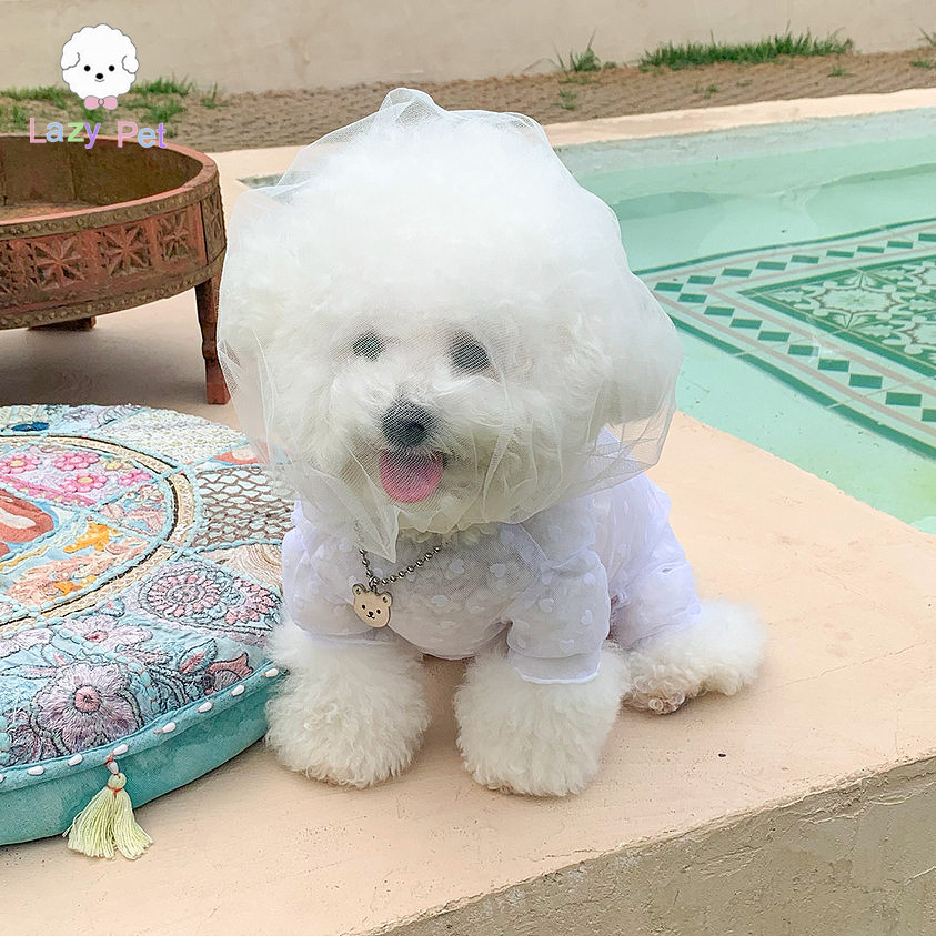 「Lazy Pet」韩国代购宠物网纱蕾丝透明防蚊凉爽四脚衣帽子面纱罩