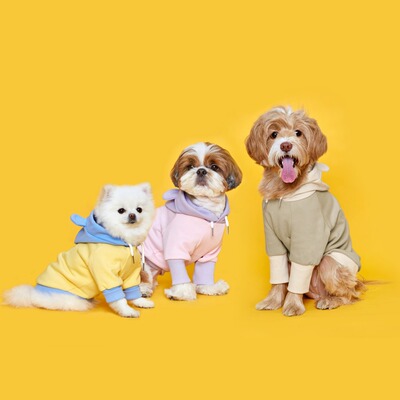 韩国宠物熊耳朵连帽抽绳卫衣