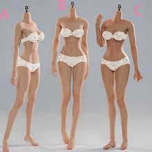 现货  1/6  VERYCOOL VCD-01/VCD-02 ABC 三肤色 硅胶中胸女素体