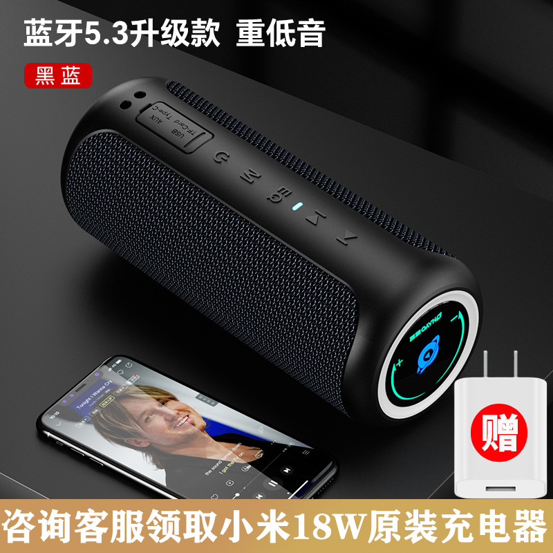 Ohayo/雷登X20蓝牙音箱40W大音量超重低音炮户外便携高清音质音响