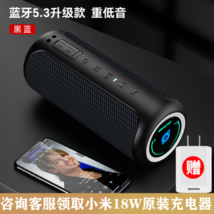 Ohayo/雷登X20蓝牙音箱40W大音量超重低音炮户外便携高清音质音响