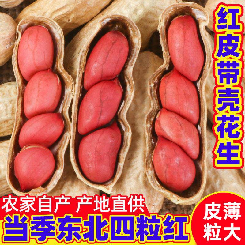 红衣生花生东北四粒红新货