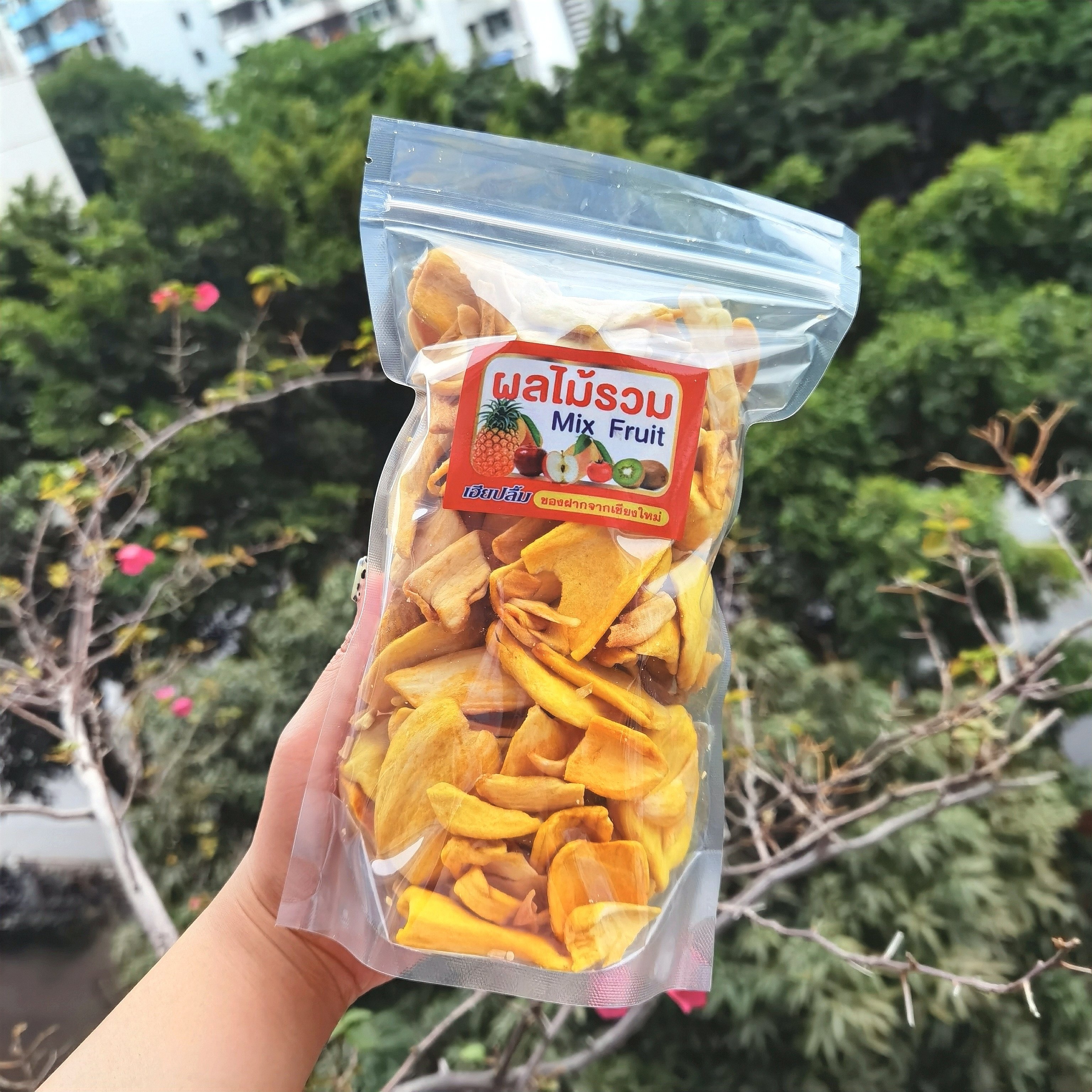 肥Q泰国采购脱水红心菠萝蜜干果无糖零食脆片 250g 2件包邮