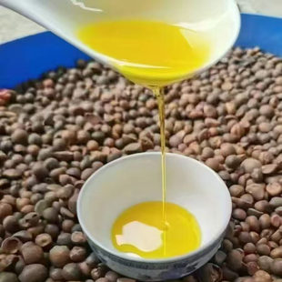 山茶油老树野生小籽山茶油传统物理压榨初榨油纯山茶油湖南耒阳