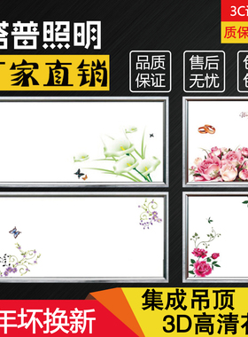 正品集成吊顶灯吸顶嵌入式LED平板灯带图案铝扣板厨房300x600花灯