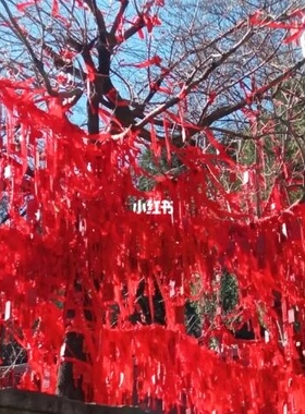 正宗泰山红平安带出入平安早生贵子财源广进金榜题名百年好合福带