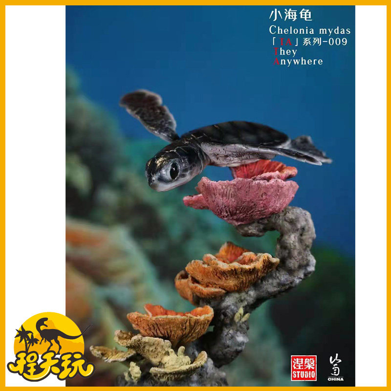 涅槃模型绿海龟限量手办系列TA