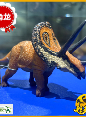 英国CollectA我你他牛角龙88512 仿真动物侏罗纪恐龙模型认知玩具