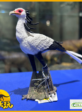 英国CollectA我你他蛇鹫88796仿真秘书鸟野生动物鸟类模型玩具PVC