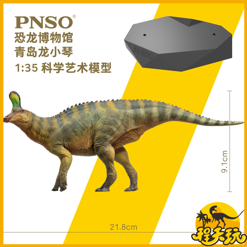 PNSO恐龙博物馆青岛龙小琴1:35科学艺术模型仿真侏罗纪手办送地台