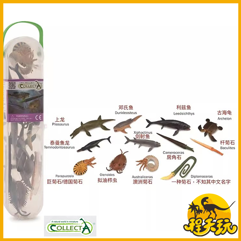 英国CollectA我你他迷你史前海洋动物A1104 仿真远古动物模型玩具