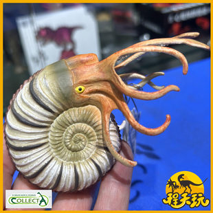 英国CollectA我你他肋菊石88902仿真史前无脊椎动物侏罗纪模型PVC