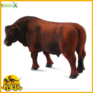 英国CollectA我你他红安格斯牛88508仿真农场动物模型玩具教具PVC
