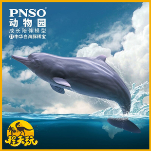 PNSO动物园中华白海豚稀宝成长陪伴模型17仿真海洋动物儿童鱼摆件