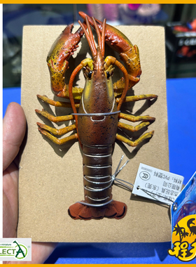 英国CollectA我你他龙虾88920 仿真极地海洋节肢动物模型儿童玩具