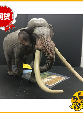 西班牙Eofauna菱齿象史前直齿象仿真恐龙模型玩具大象冰河世纪PVC