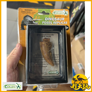 英国CollectA我你他暴龙的侧齿89358恐龙牙齿脚趾爪模型霸王龙PVC